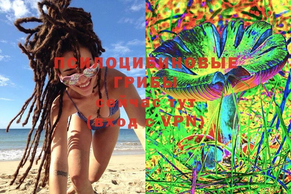 тгк Михайлов