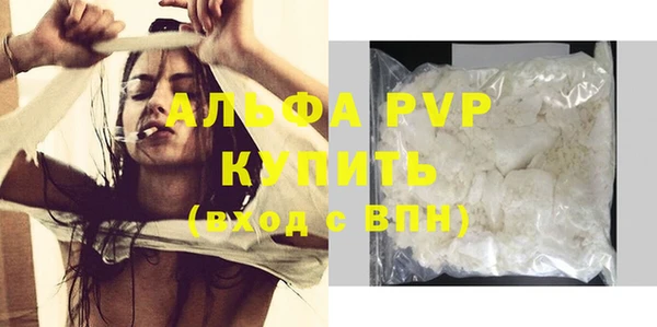 гидра Михайловка