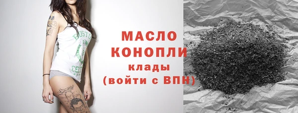тгк Михайлов