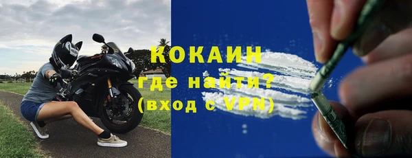 гидра Михайловка