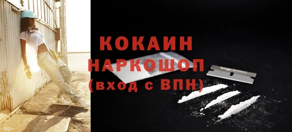 гидра Михайловка