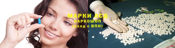 гидра Михайловка