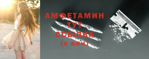 гидра Михайловка