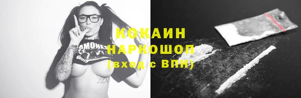 тгк Михайлов