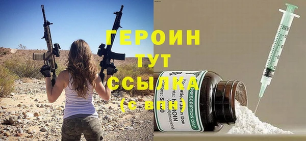 гидра Михайловка