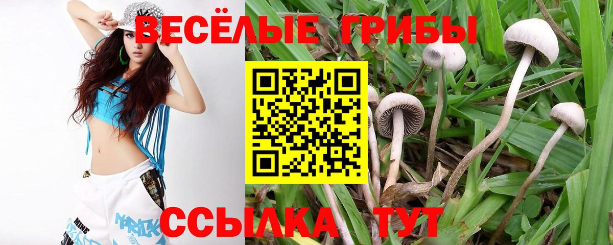 Псилоцибиновые грибы Magic Shrooms  как найти закладки  Заринск  Псилоцибиновые грибы мицелий  Вход с VPN 